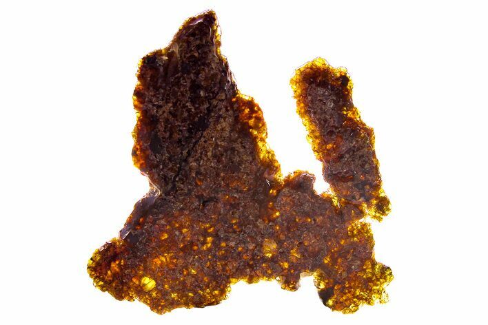 Polished Diogenite Meteorite ( g) Slice - NWA #375703